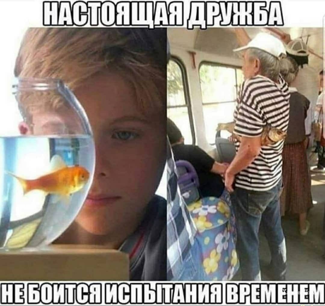 5fe5e8687e14cf2e7.jpg