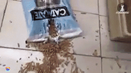 5febja.gif