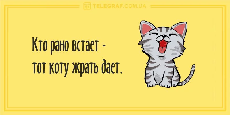 5ff0ccb8f170787be39c469ffb29c2fb.webp