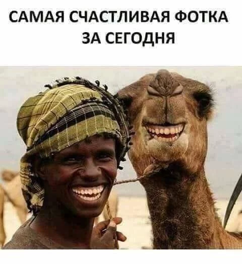 5ffdjj.webp