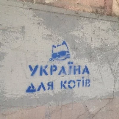 5fgaed.webp