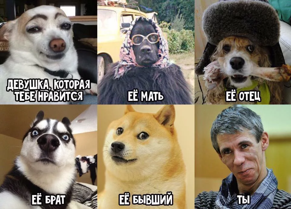 5fggee.webp