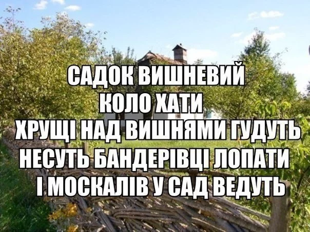 5fjhga.webp