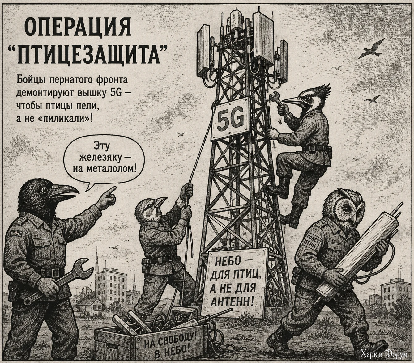 5g.webp