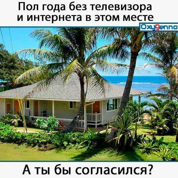 5gbhda.webp