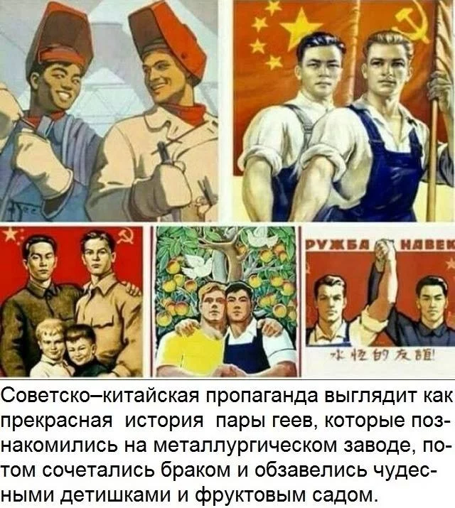 5gdbbc.webp