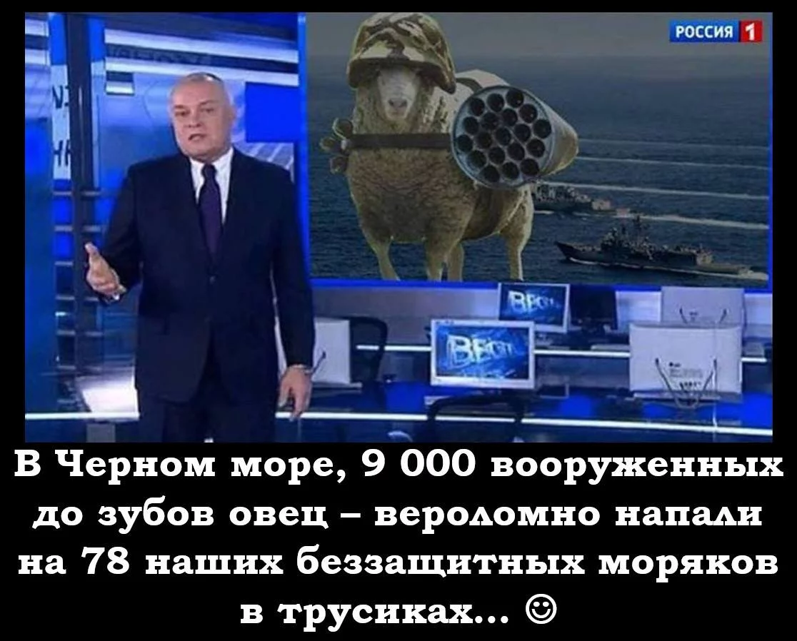 5gdggf.webp