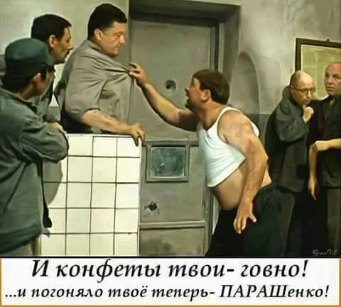 5ghdhf.webp