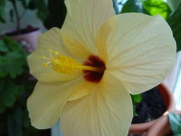 5ghPy.webp