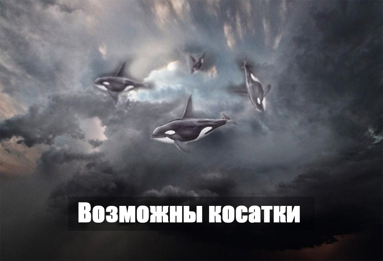 5hbffa.jpg