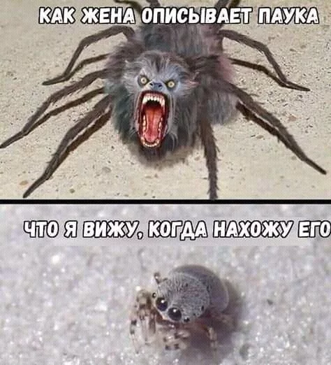 5hdccj.webp