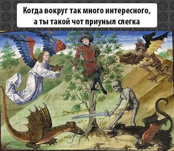 5jachh.webp