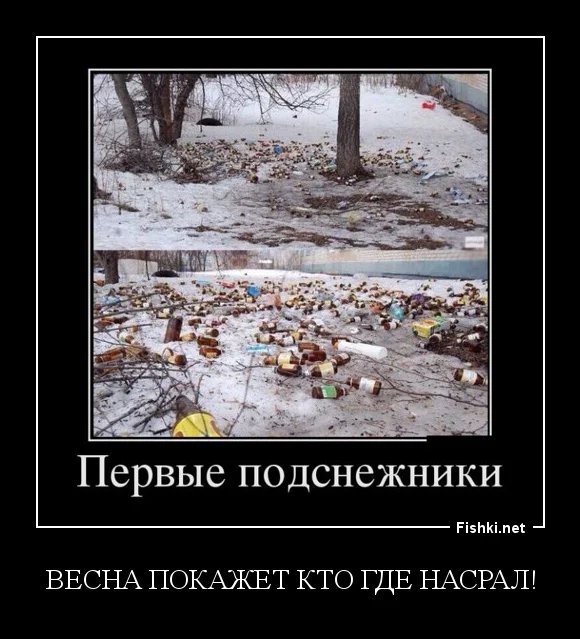 5jdcff.webp