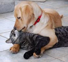 5nmqtq15o8DHwW0Pv5e7ITe0pCxr0Kk3w0BJVQQgrBPCy9mp1Q.webp