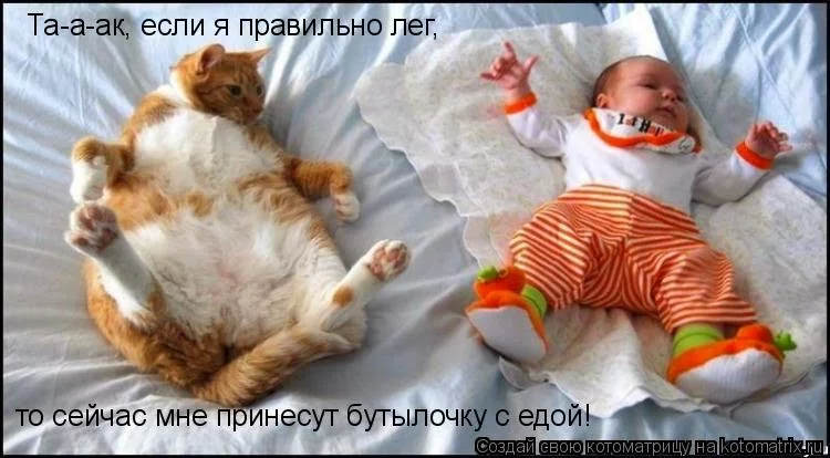 5qeVN8ksTAKYvXzQ4aARzysRhhtvh2TV44g=w2880-h1620-no.webp