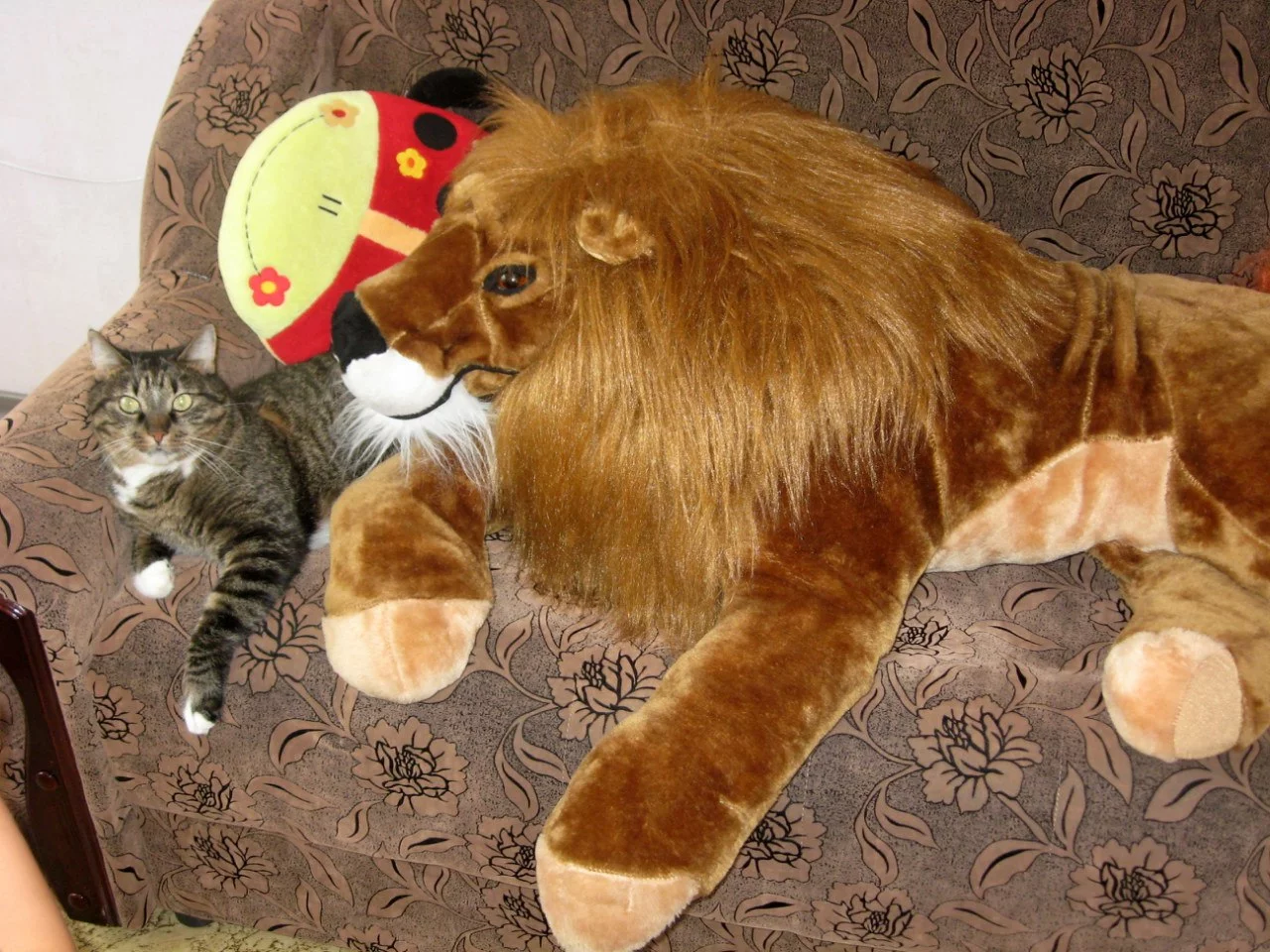 5QK6Fa_zo8k.webp