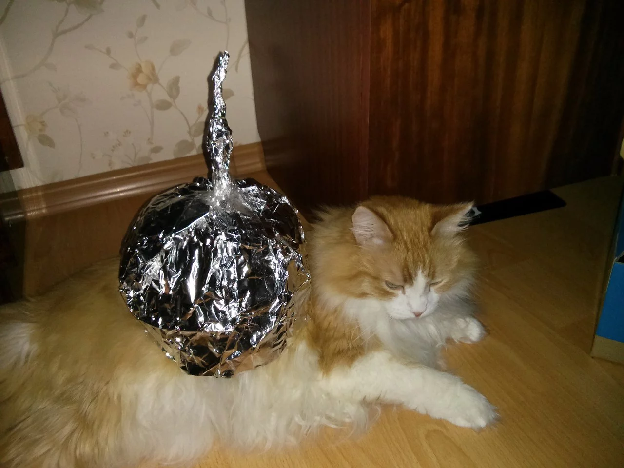 5RmFFC0y004.webp