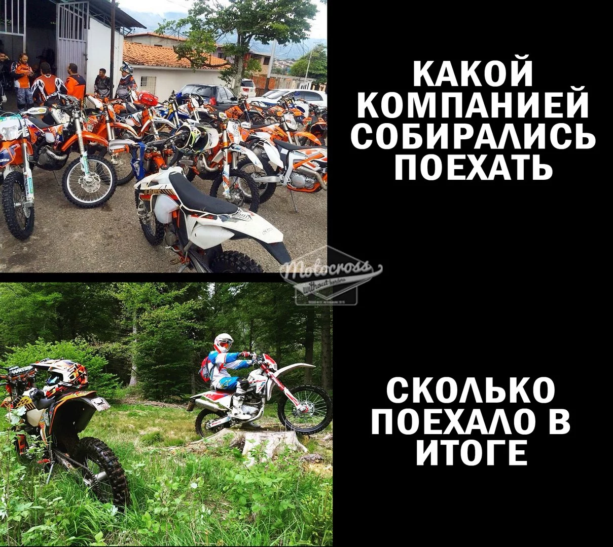 5T2JbtzDjD4.webp