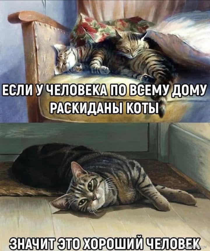 5t2wQ7kNvgFbxaWn&_nc_zt=23&_nc_ht=scontent.fdnk1-4.jpg