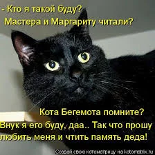 5V3CKauYbhMiB5MiH5LUYfuBmcdTq94vkLn7vtI1eMX4isikmA.webp