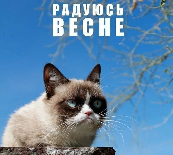 5yL5BeNSvaI.webp