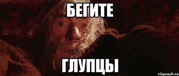 5ZgvLROU3YY.webp
