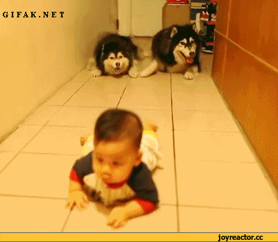 6%D0%B8%D0%B2%D0%BD%D0%BE%D1%81%D1%82%D1%8C-909379.gif