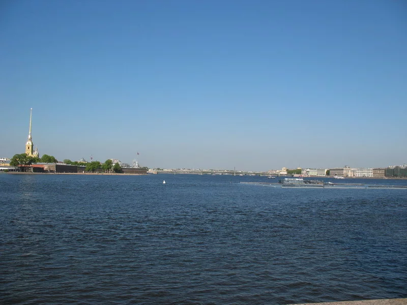 6.webp