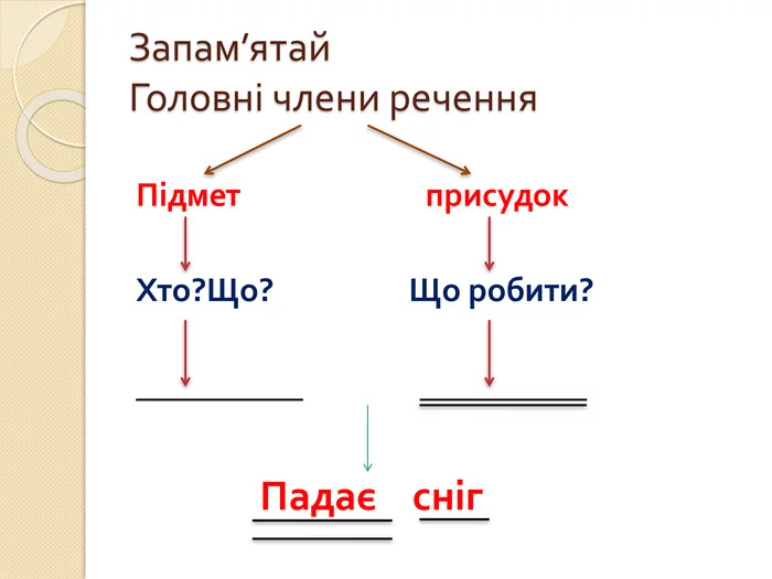 6.webp