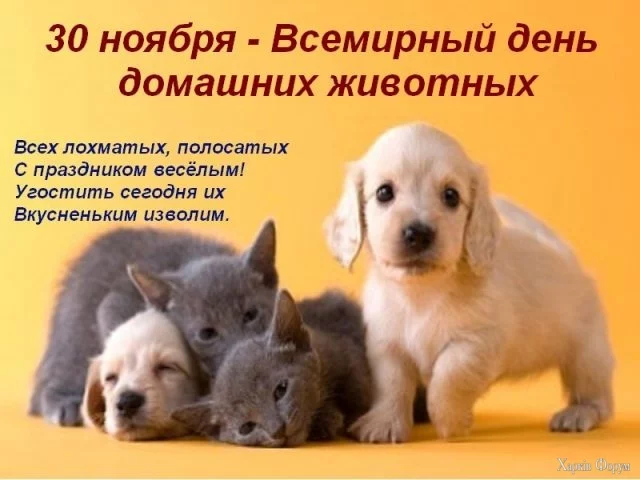 6.webp