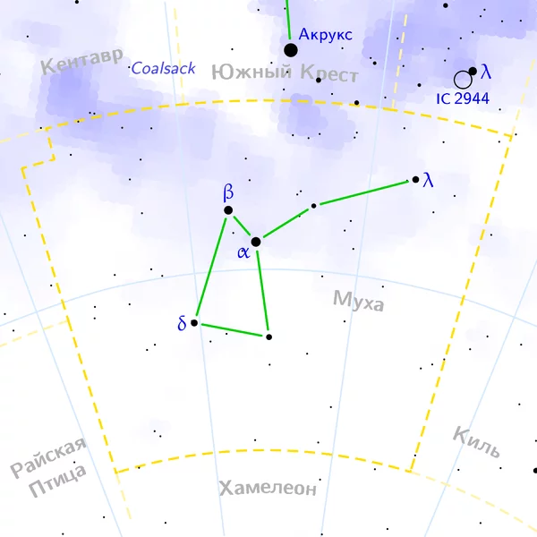 600px-Musca_constellation_map_ru_lite.webp