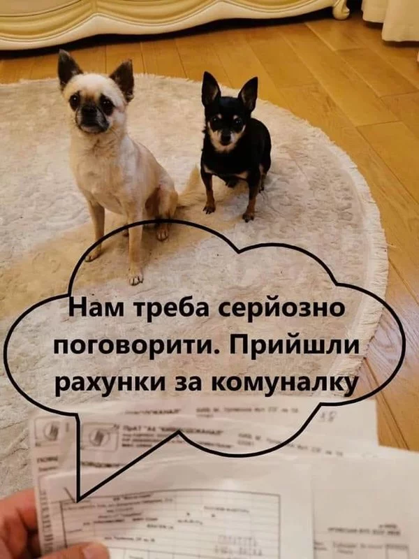 600x800.webp
