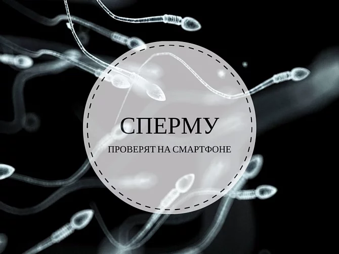 601ee1f6e370a60eabee10760015472b.webp