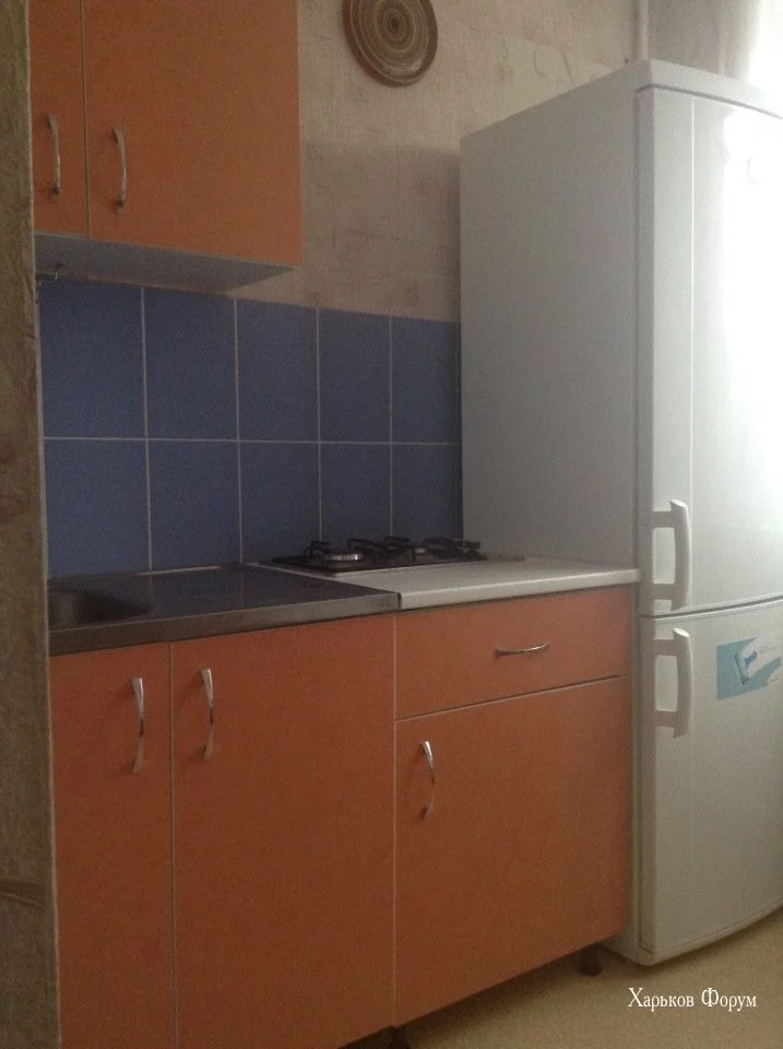 603a2cd53c2ad13a9.webp