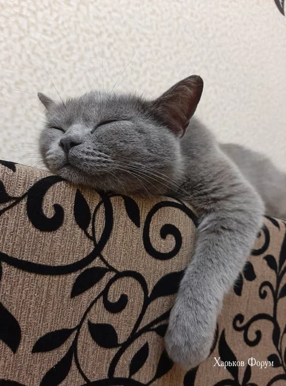 603b9276d406f4b219ed1f69.webp