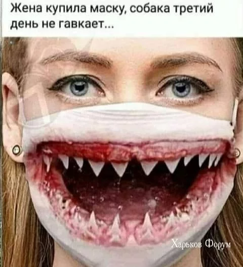 604c80171164cd51.webp