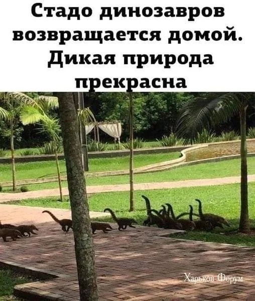 604dc7a2087e16b4.webp