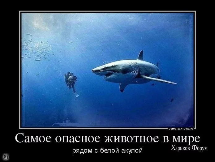 604e9aea23cfec6b.webp
