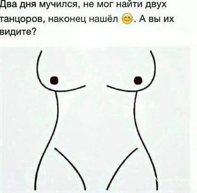 607884f2fb23b616550037.webp