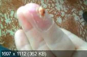 6081acba2f915a71294b1d13acf79bb9.webp