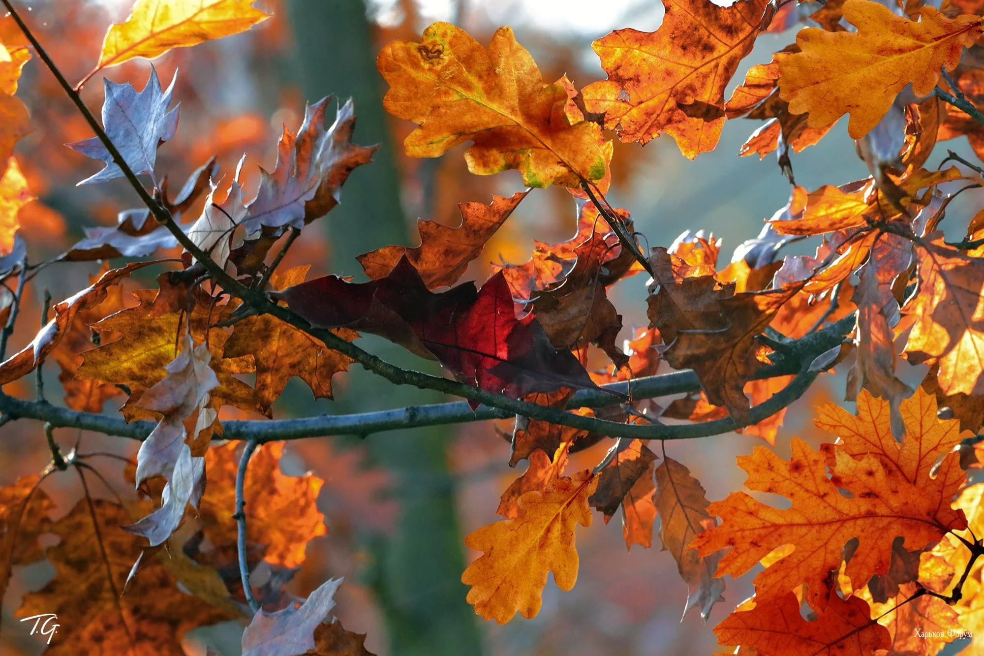 608f2fd144065ec4.webp