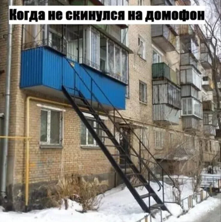 6095417bb19036b3d.webp