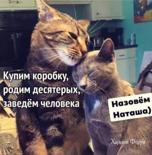 60c991b137b4098d9126b467.jpg