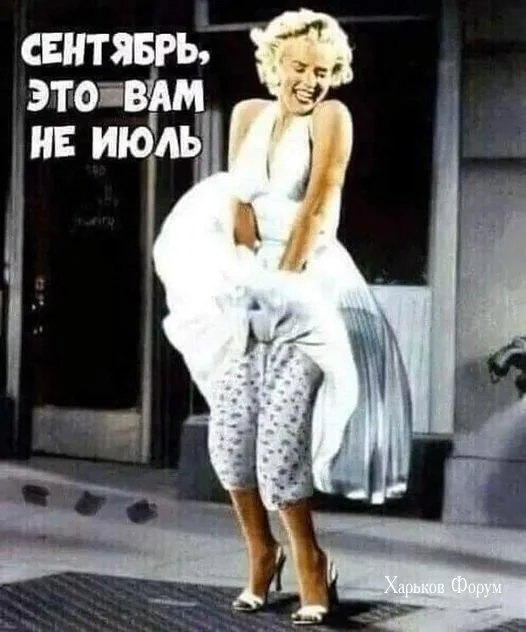 60ceb77c8f40ef5a.webp