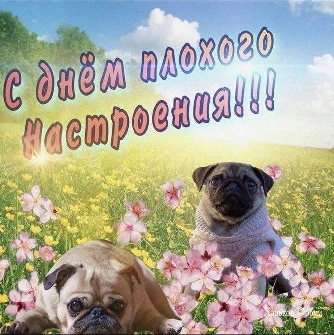 60d37da41fe4342ff4.webp