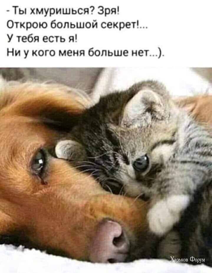 60d7a398b23c2d1da.jpg