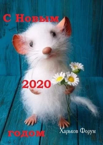 60d849a8ff048be6b55227d.webp