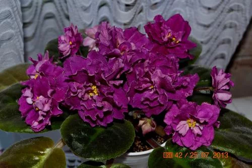 610642eab9323cb1fc368929a3858dc1.webp