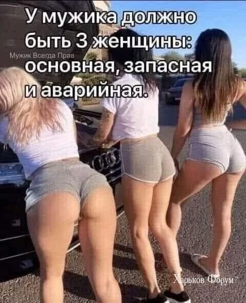 610846c674578495dfd.webp