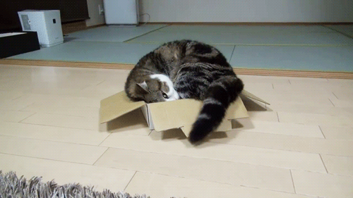 610a2ea6b42633dcb240.gif